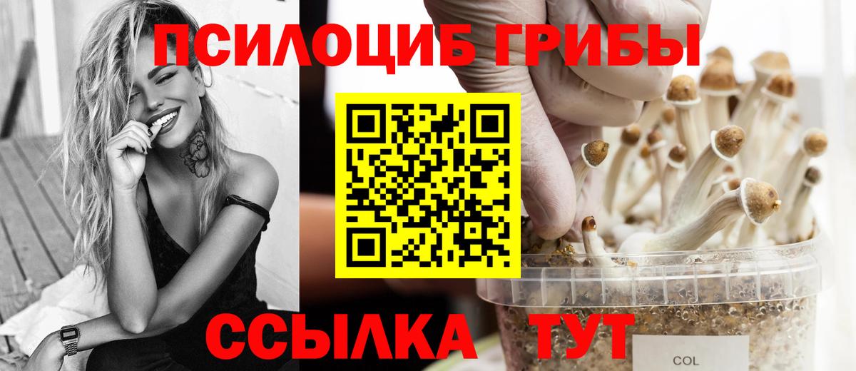 Псилоцибиновые грибы GOLDEN TEACHER Лениногорск