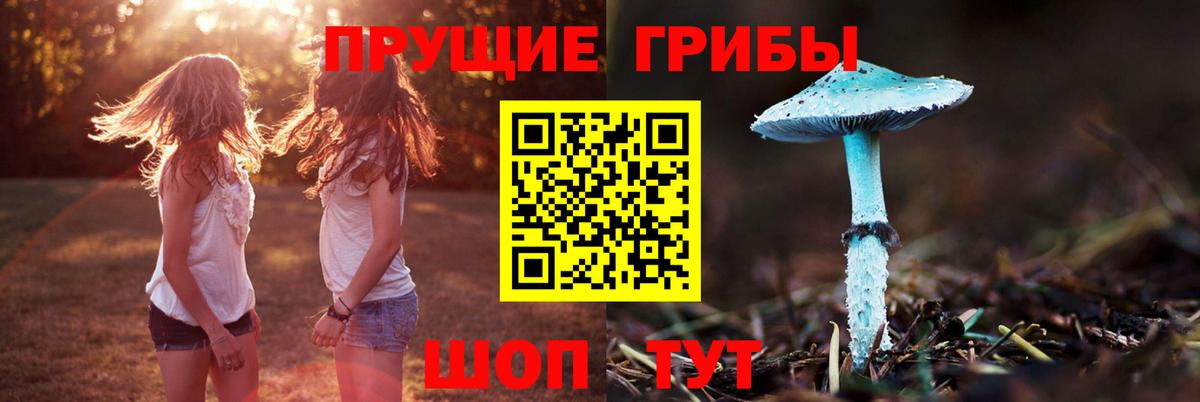 Лениногорск  Псилоцибиновые грибы ЛСД  Галлюциногенные грибы Psilocybe  Вход с VPN 